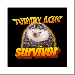 Tummy Ache Survivor Meme Posters and Art